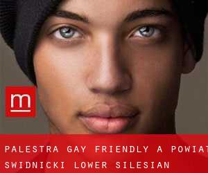 Palestra Gay Friendly a Powiat świdnicki (Lower Silesian Voivodeship)