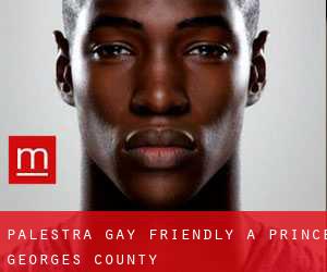 Palestra Gay Friendly a Prince Georges County
