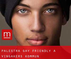 Palestra Gay Friendly a Vingåkers Kommun