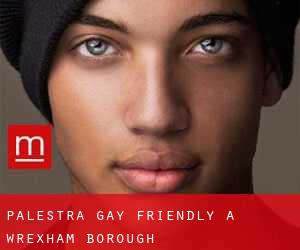 Palestra Gay Friendly a Wrexham (Borough)