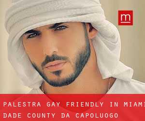 Palestra Gay Friendly in Miami-Dade County da capoluogo - pagina 1