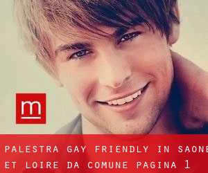 Palestra Gay Friendly in Saône-et-Loire da comune - pagina 1