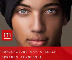 Popolazione Gay a Beech Springs (Tennessee)