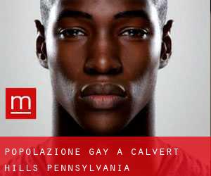 Popolazione Gay a Calvert Hills (Pennsylvania)