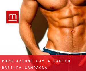 Popolazione Gay a Canton Basilea Campagna