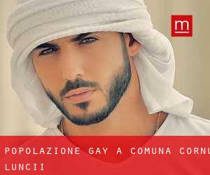 Popolazione Gay a Comuna Cornu Luncii