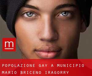 Popolazione Gay a Municipio Mario Briceño Iragorry