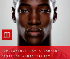 Popolazione Gay a Namakwa District Municipality
