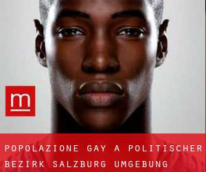 Popolazione Gay a Politischer Bezirk Salzburg Umgebung