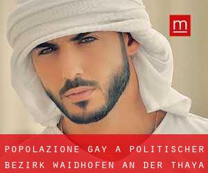 Popolazione Gay a Politischer Bezirk Waidhofen an der Thaya