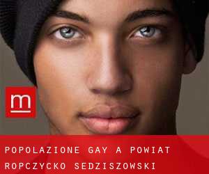 Popolazione Gay a Powiat ropczycko-sędziszowski