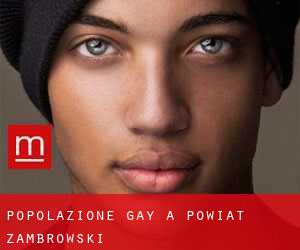 Popolazione Gay a Powiat zambrowski