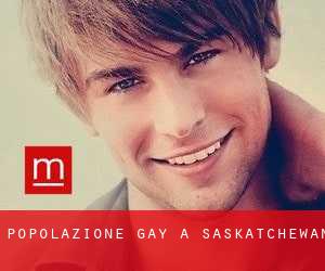 Popolazione Gay a Saskatchewan