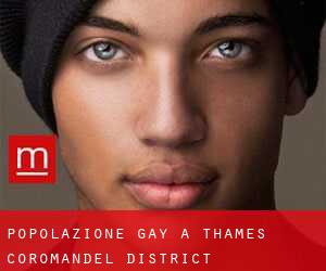 Popolazione Gay a Thames-Coromandel District