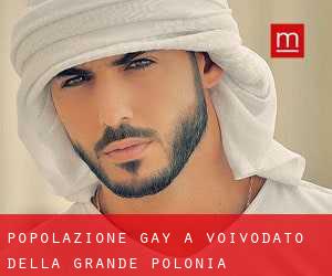 Popolazione Gay a Voivodato della Grande Polonia