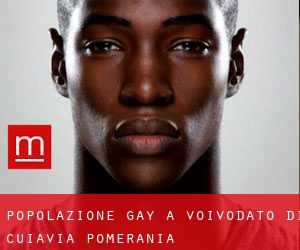 Popolazione Gay a Voivodato di Cuiavia-Pomerania