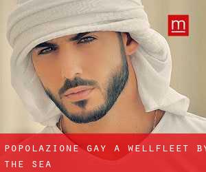 Popolazione Gay a Wellfleet by the Sea