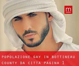 Popolazione Gay in Bottineau County da città - pagina 1