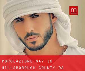 Popolazione Gay in Hillsborough County da posizione - pagina 1