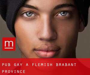 Pub Gay a Flemish Brabant Province