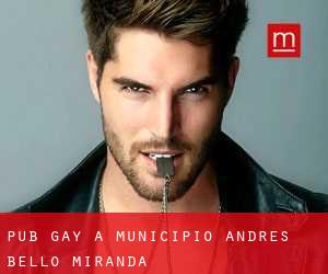 Pub Gay a Municipio Andrés Bello (Miranda)