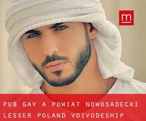 Pub Gay a Powiat nowosadecki (Lesser Poland Voivodeship) (Voivodato della Piccola Polonia)