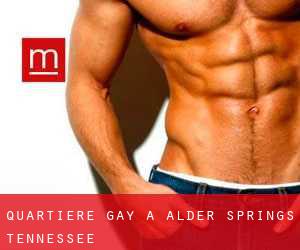 Quartiere Gay a Alder Springs (Tennessee)