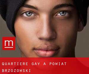 Quartiere Gay a Powiat brzozowski