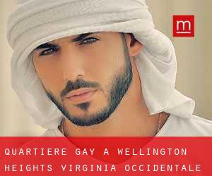 Quartiere Gay a Wellington Heights (Virginia Occidentale)