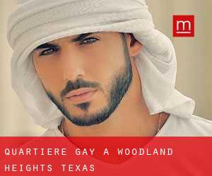Quartiere Gay a Woodland Heights (Texas)