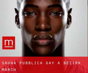 Sauna pubblica Gay a Bezirk March