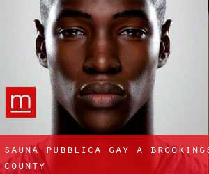 Sauna pubblica Gay a Brookings County