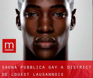 Sauna pubblica Gay a District de l'Ouest lausannois