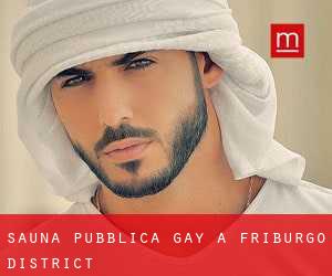 Sauna pubblica Gay a Friburgo District