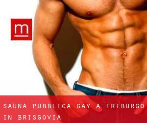 Sauna pubblica Gay a Friburgo in Brisgovia
