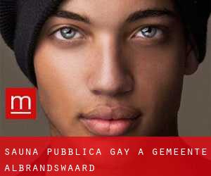 Sauna pubblica Gay a Gemeente Albrandswaard