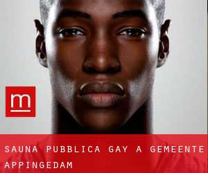 Sauna pubblica Gay a Gemeente Appingedam