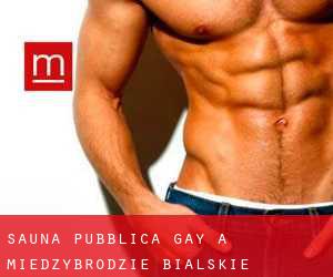Sauna pubblica Gay a Międzybrodzie Bialskie