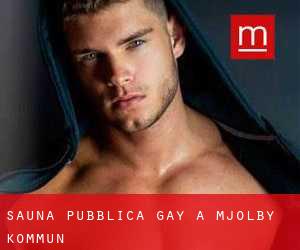 Sauna pubblica Gay a Mjölby Kommun