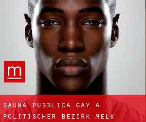 Sauna pubblica Gay a Politischer Bezirk Melk
