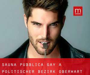 Sauna pubblica Gay a Politischer Bezirk Oberwart