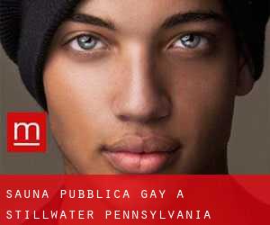 Sauna pubblica Gay a Stillwater (Pennsylvania)