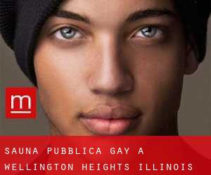 Sauna pubblica Gay a Wellington Heights (Illinois)