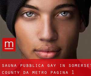 Sauna pubblica Gay in Somerset County da metro - pagina 1